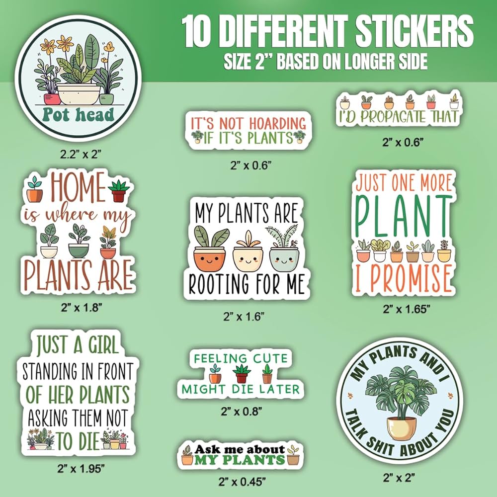 DISH// 2024 「GARDEN」 random sticker DISH// 2024 「GARDEN」 random sticker DISH// 2024 「GARDEN